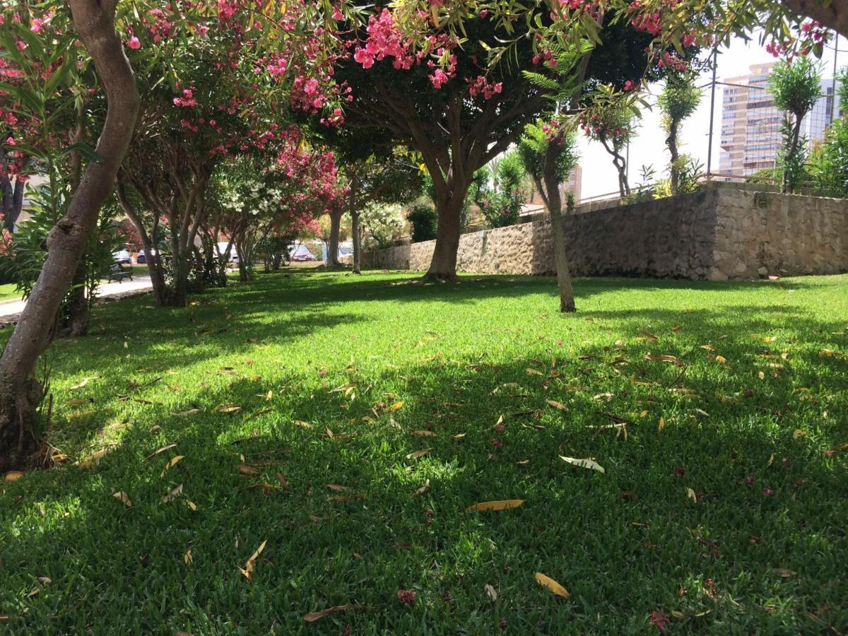 Appartement Club Del Mar L25